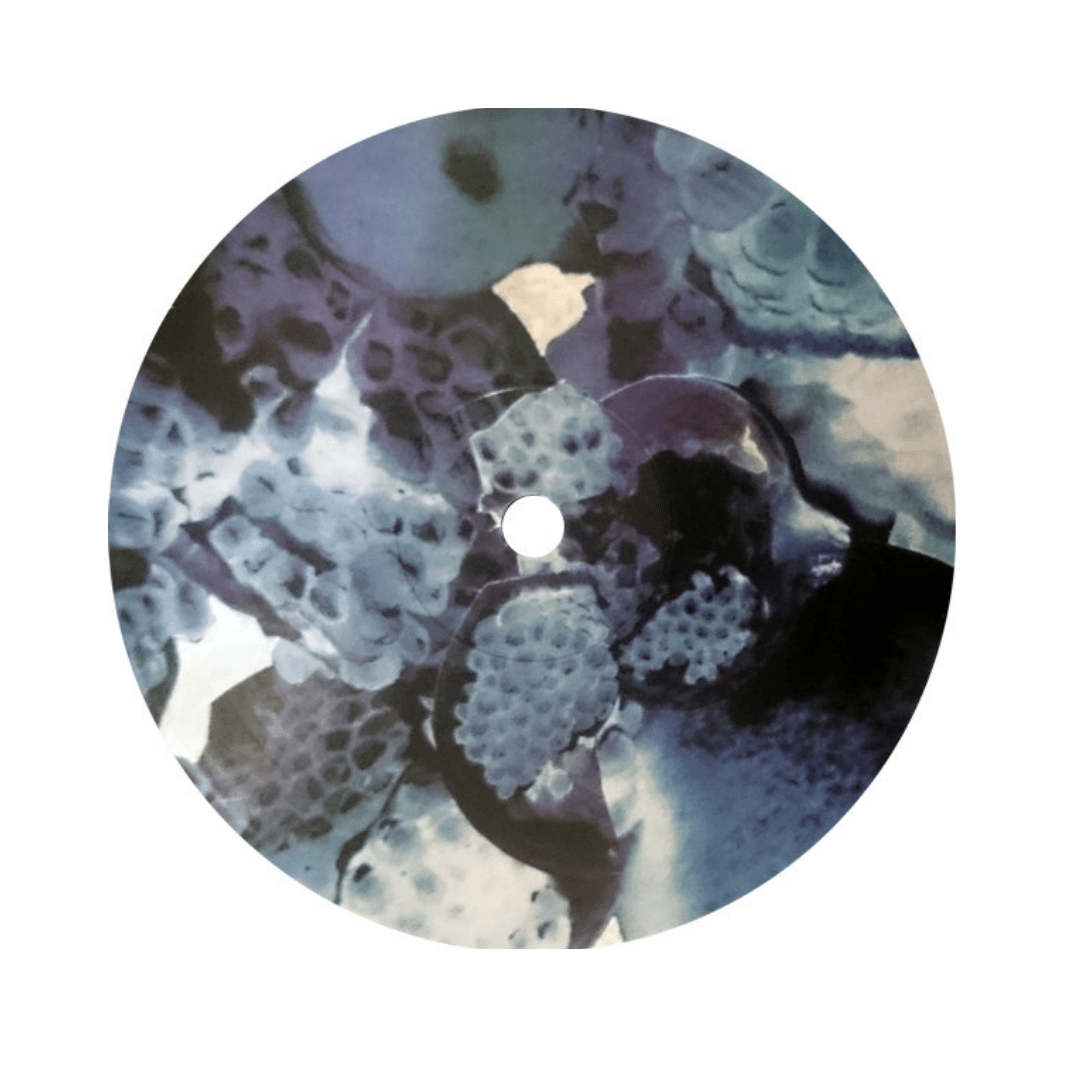 Foals Total Life Forever Vinilo3