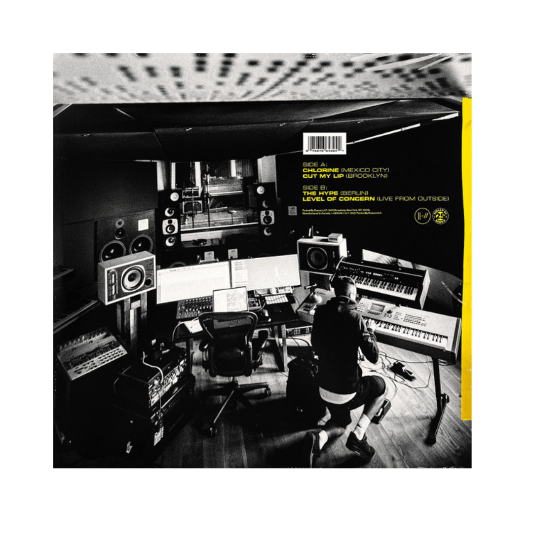 Twenty One Pilots Location Sessions Vinilo2