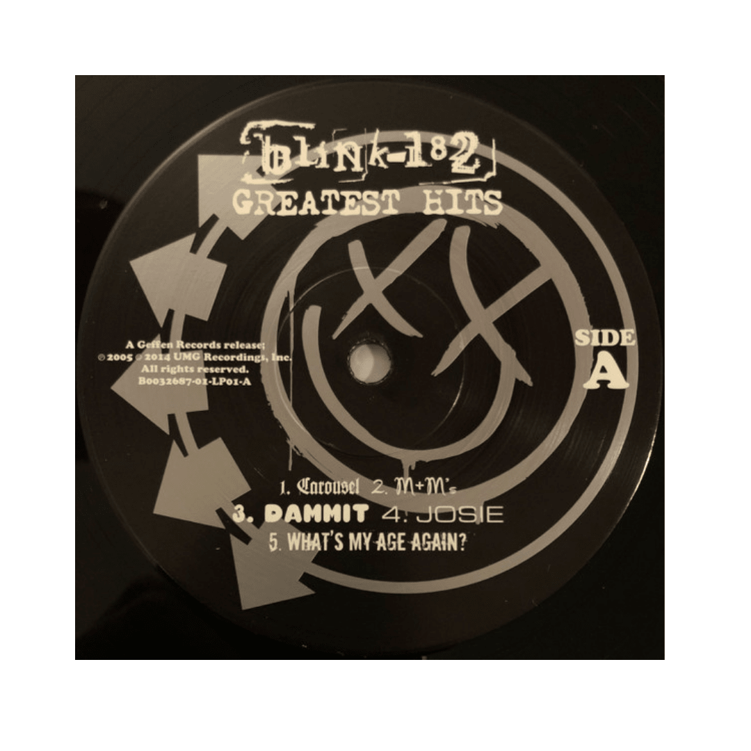 Blink-182 Greatest Hits Vinilo3