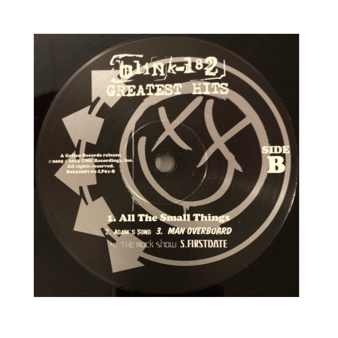 Blink-182 Greatest Hits Vinilo4