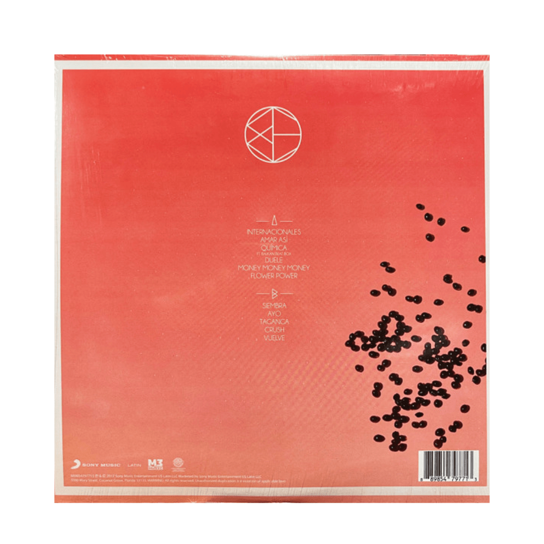 Bomba Estéreo Ayo vinilo2