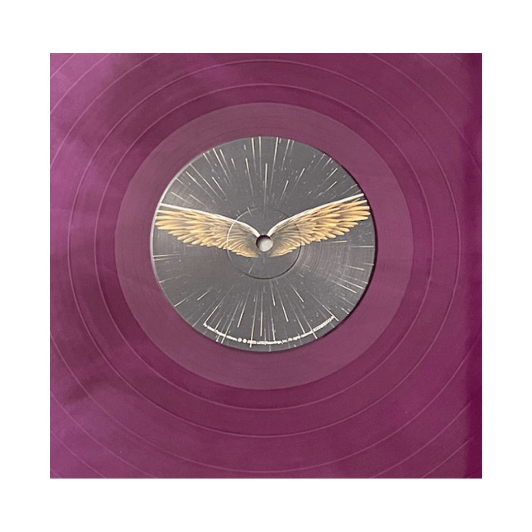 Sum 41 All The Good Sh** (14 Solid Gold Hits 00 - 08) Vinilo4