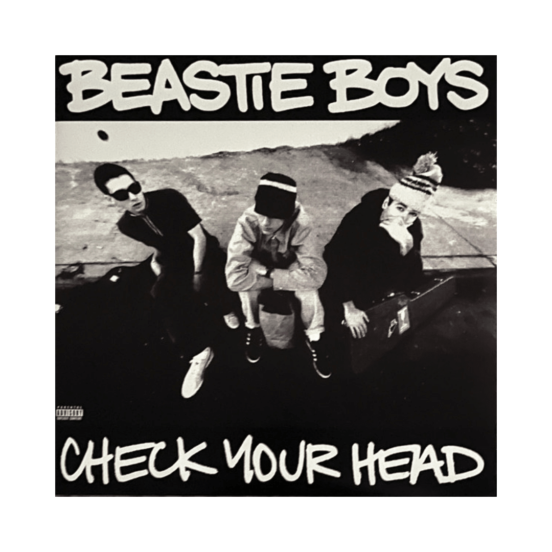 Beastie Boys Check Your Head Vinilo1