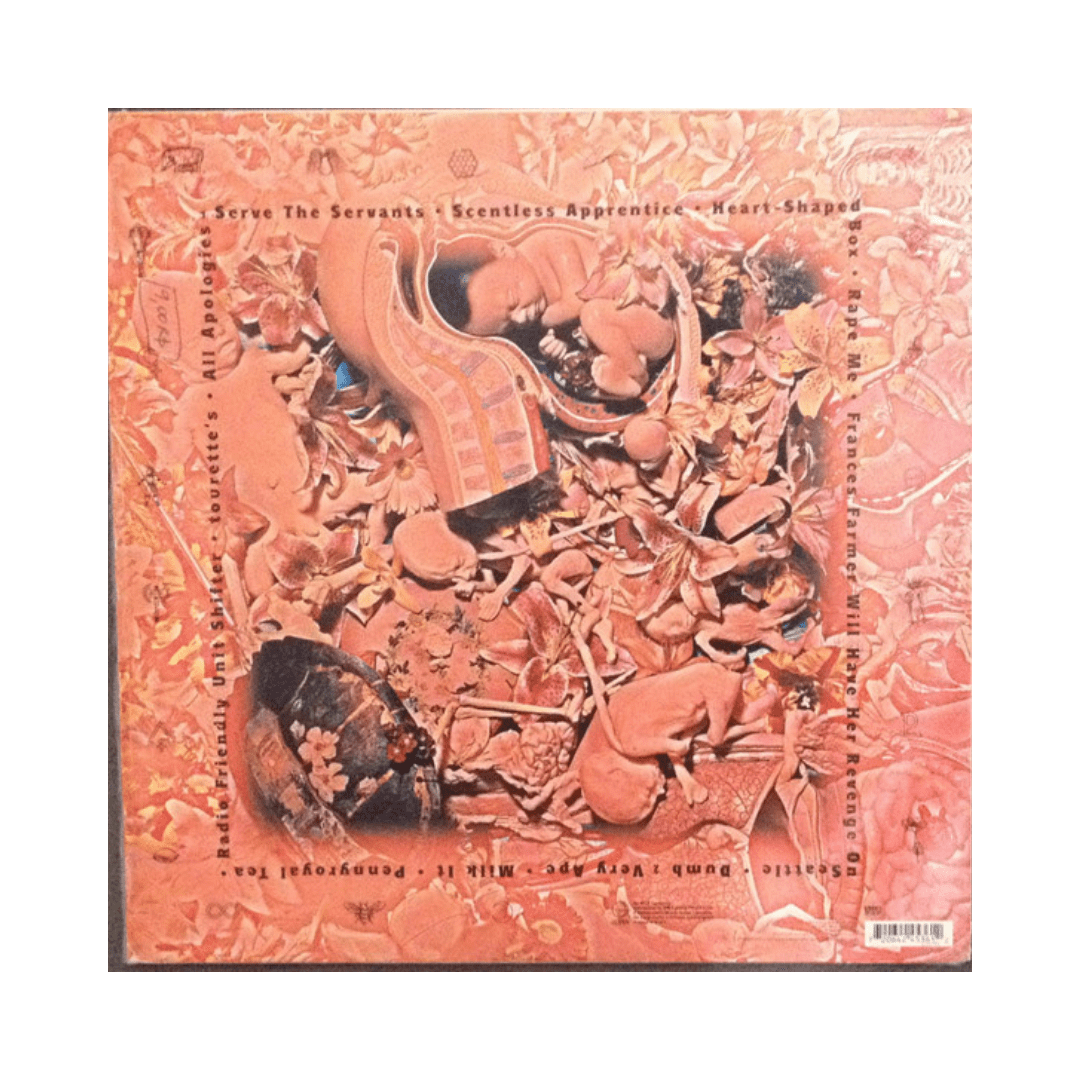 Nirvana In Utero Vinilo2