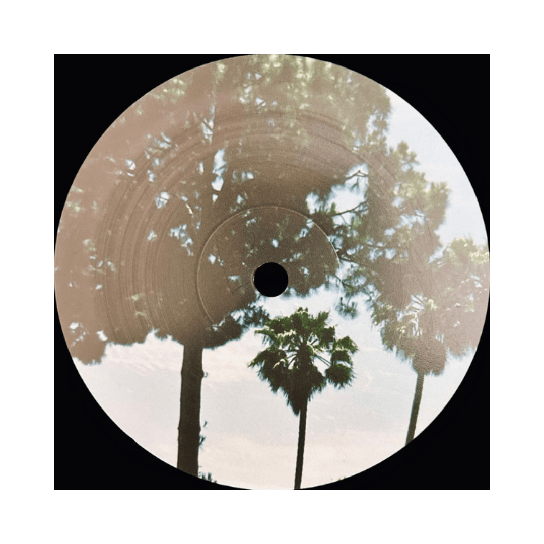 Lana Del Rey Honeymoon Vinilo5