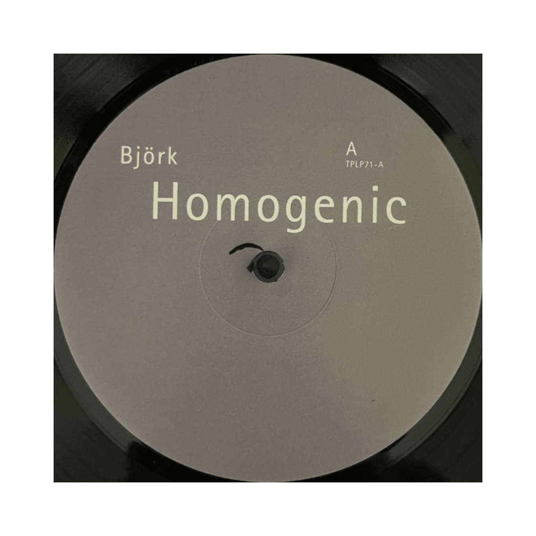 Bjork Homogenic Vinilo3