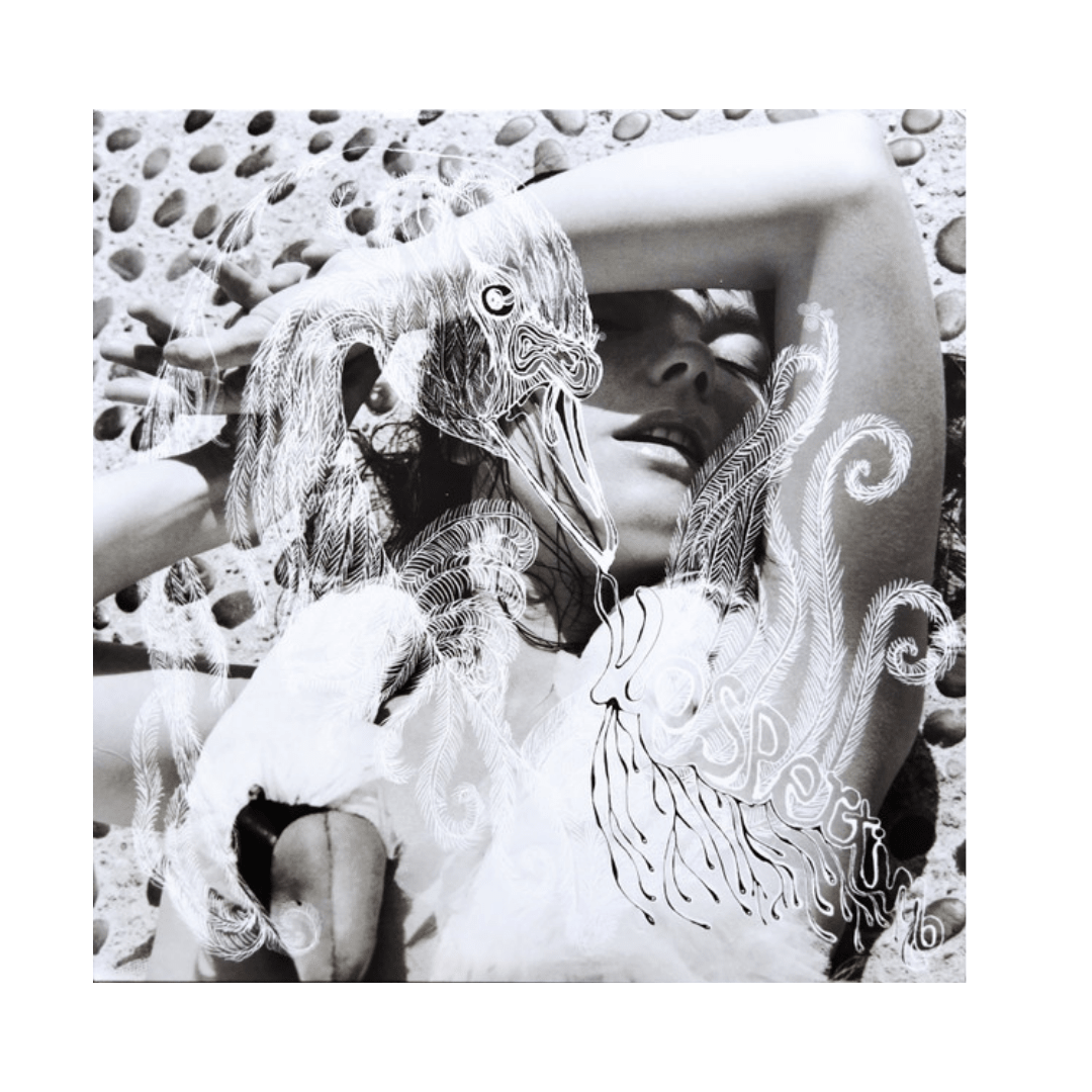 Bjork Vespertine Vinilo1