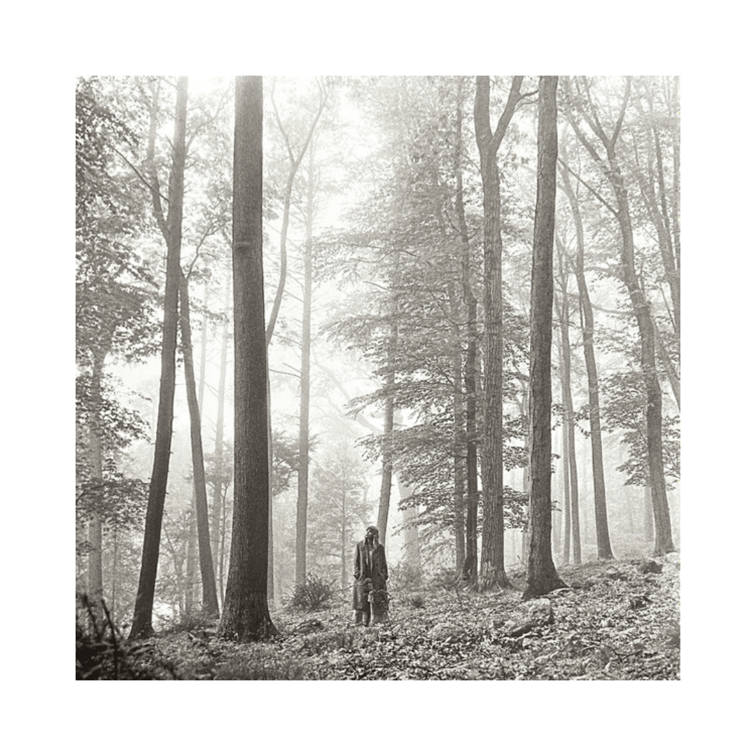 Taylor Swift Folklore Vinilo1