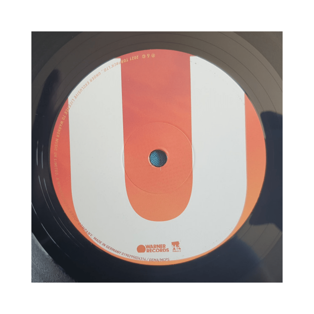 Muse Origin Of Symmetry: Xx Anniversary Remixx Vinilo4