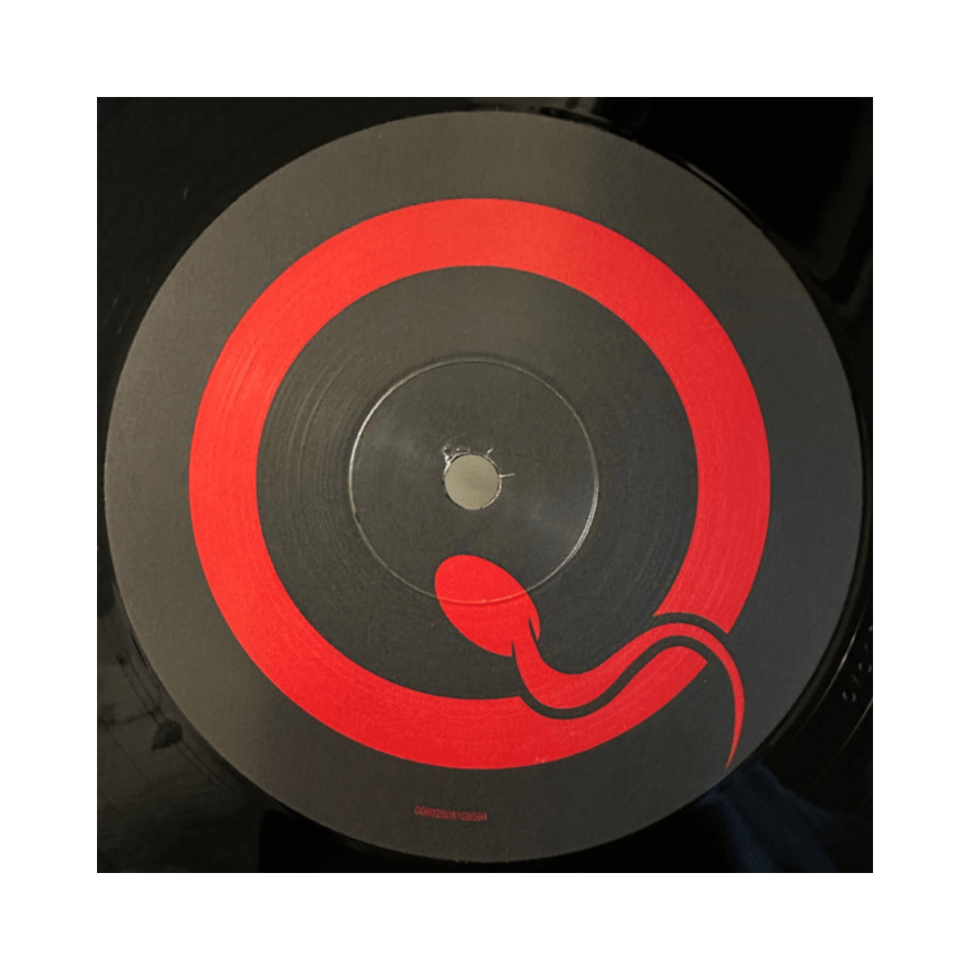 Queens Of The Stone Age Songs For The Deaf Vinilo4