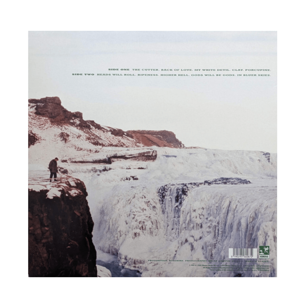 Echo & The Bunnymen Porcupine Vinilo2