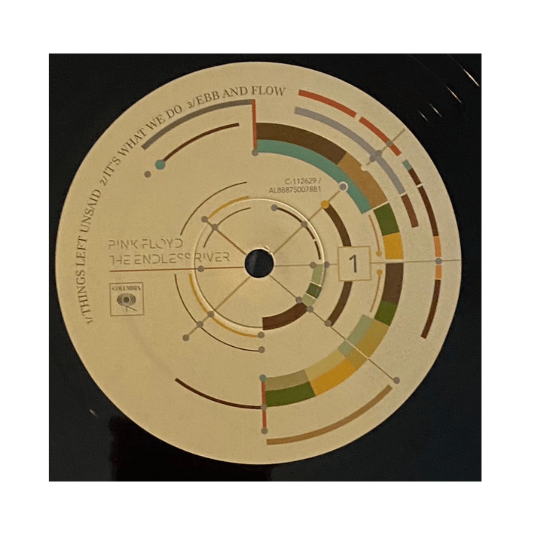 Pink Floyd The Endless River vinilo3