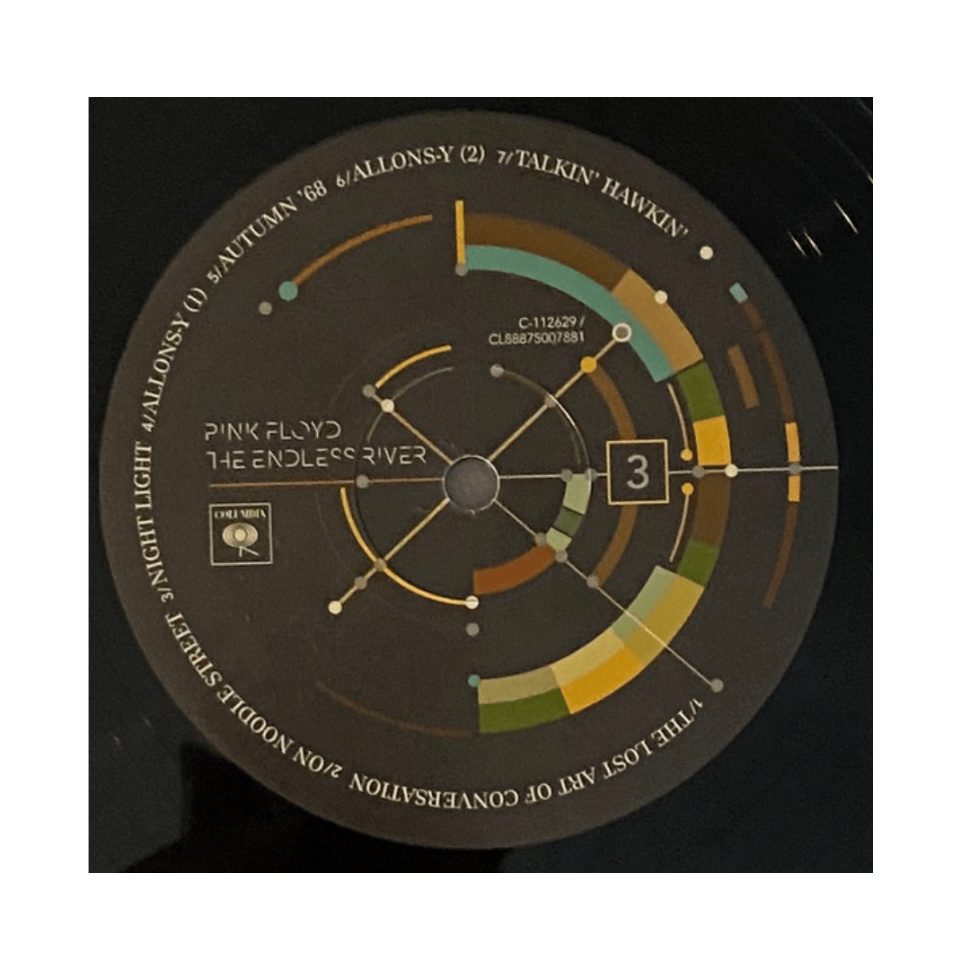 Pink Floyd The Endless River vinilo4