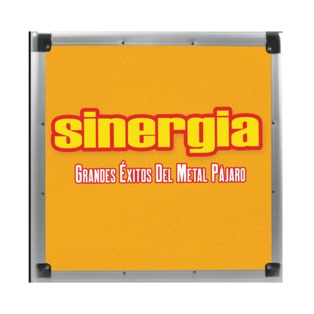 Sinergia Grandes Éxitos Del Metal Pájaro vinilo1