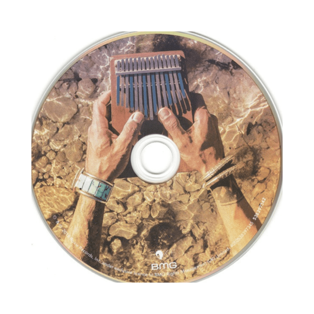 Lenny Kravitz Raise Vibration cd3