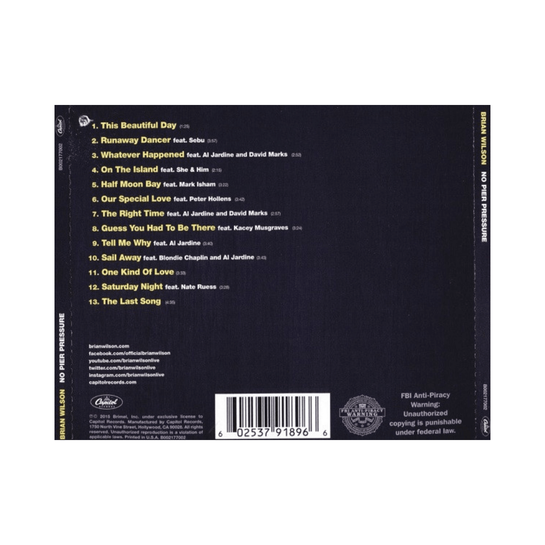 Brian Wilson No Pier Pressure cd2