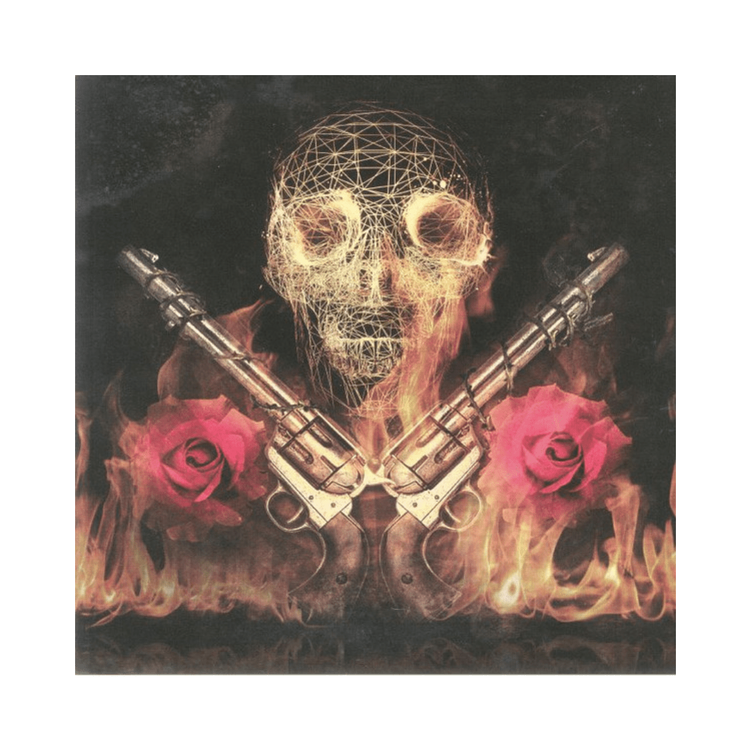 Guns N' Roses The R. N' R.r. Trip Live In N.y. 1988 Vinilo1