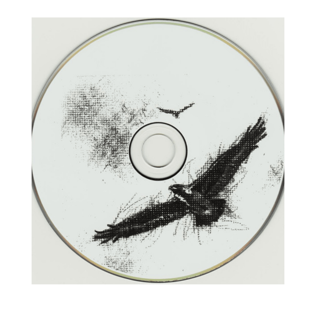 PJ Harvey Let England Shake Cd3