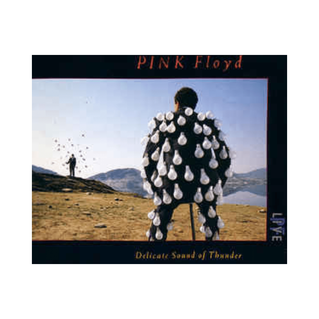 Pink Floyd Delicate Sound Of Thunder CD1