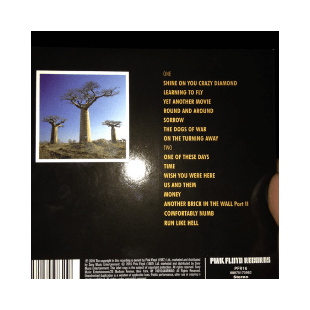 Pink Floyd Delicate Sound Of Thunder CD2