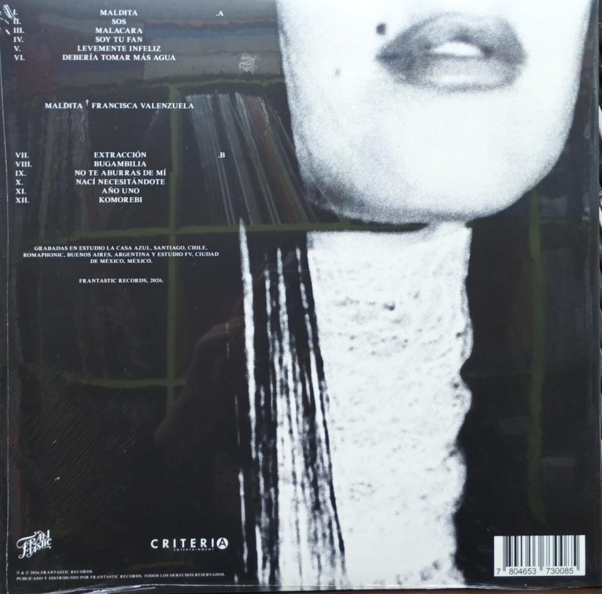FRANCISCA VALENZUELA MALDITA VINILO2