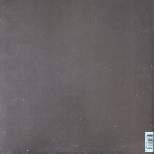 Post Malone Stoney Vinilo2