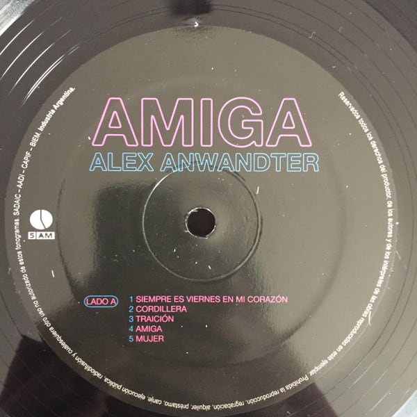 Alex Anwandter Amiga Nuevo Y Sellado Vinilo4