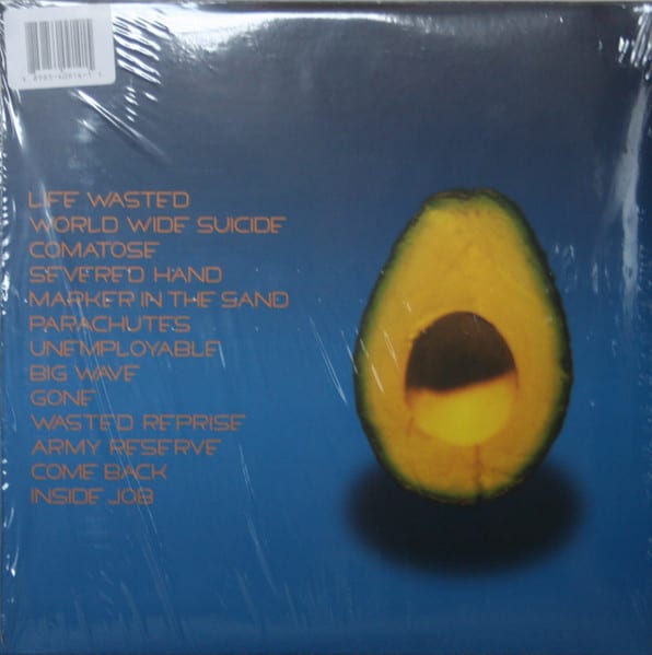 Pearl Jam Pearl Jam Vinilo1