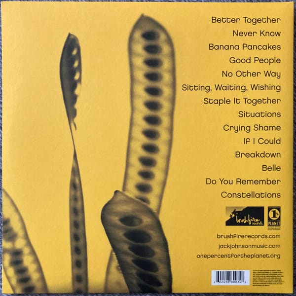 Jack Johnson In Between Dreams Vinyl1