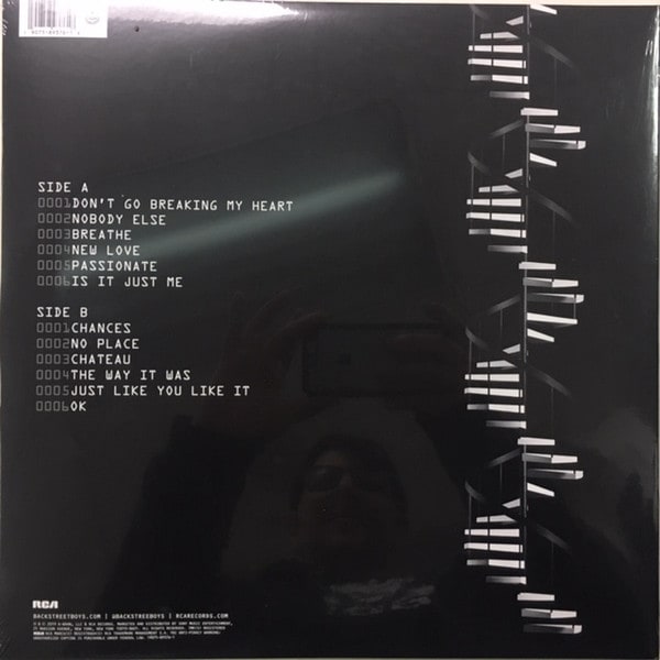 Backstreet Boys Dna Vinilo2
