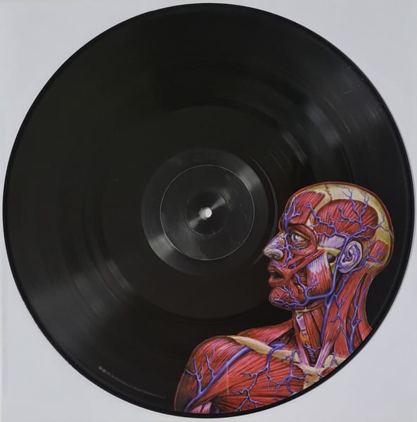 Tool Lateralus Vinilo3