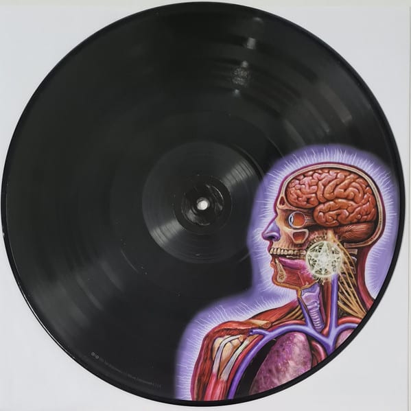 Tool Lateralus Vinilo5