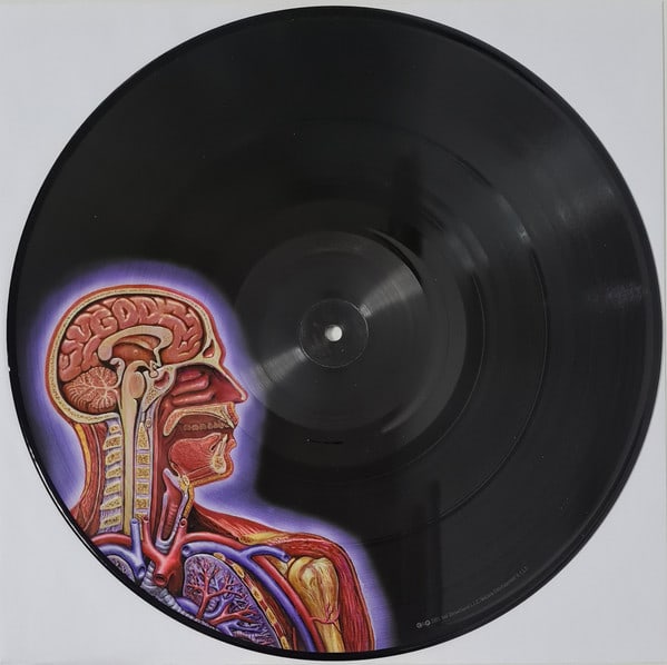 Tool Lateralus Vinilo6