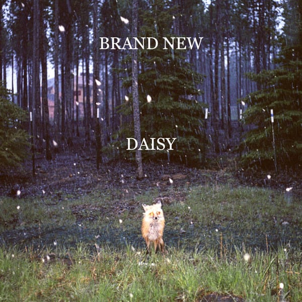 Brand New Daisy CD1