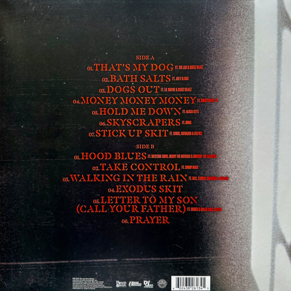 DMX Exodus Vinilo2