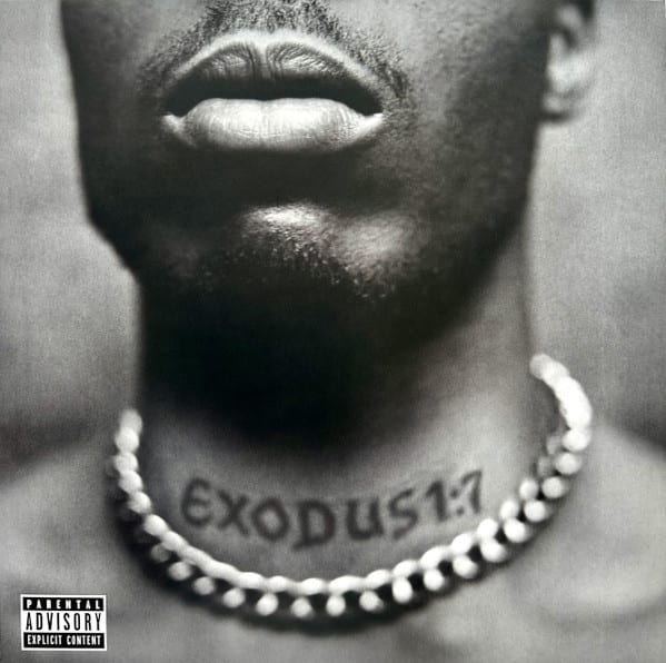 DMX Exodus Vinilo1