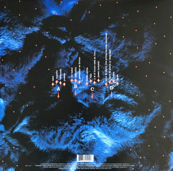 Gustavo Cerati Bocanada 2 Lp Vinilo2