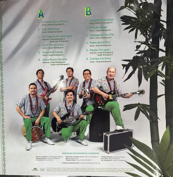 Vinilo Los Mirlos Corazón Amazónico2