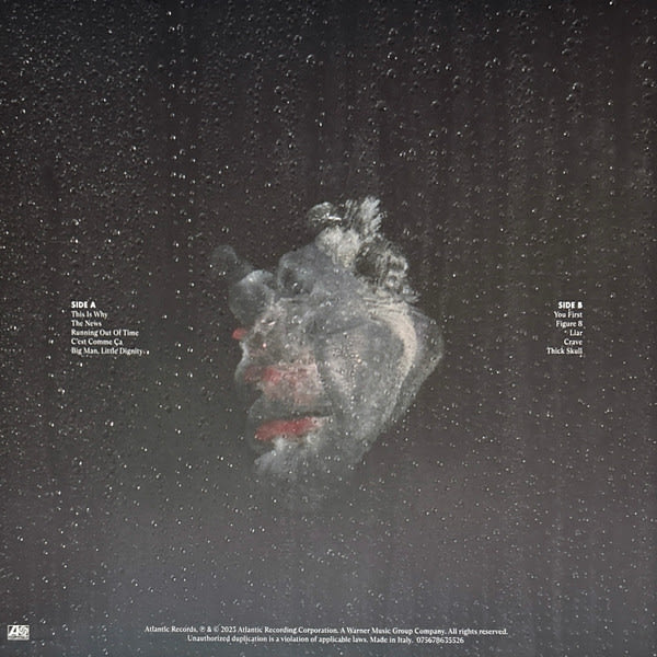 Paramore This Is Why Vinilo2