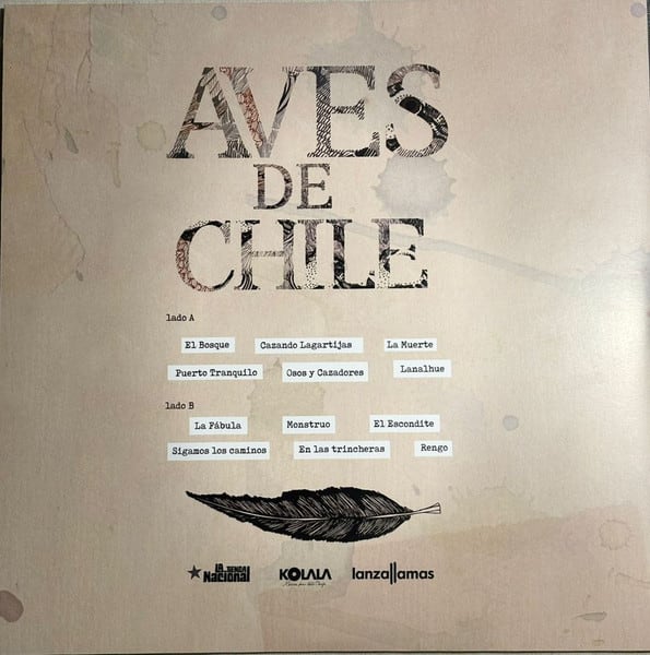 Niño Cohete Aves De Chile Vinilo1