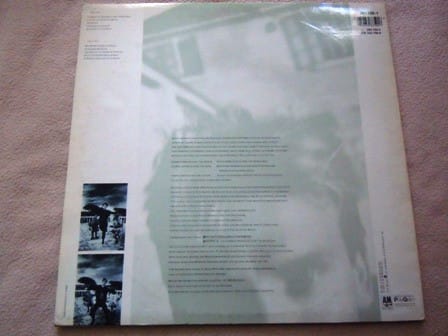 Sting The Dream Of The Blue Turtles Vinilo2