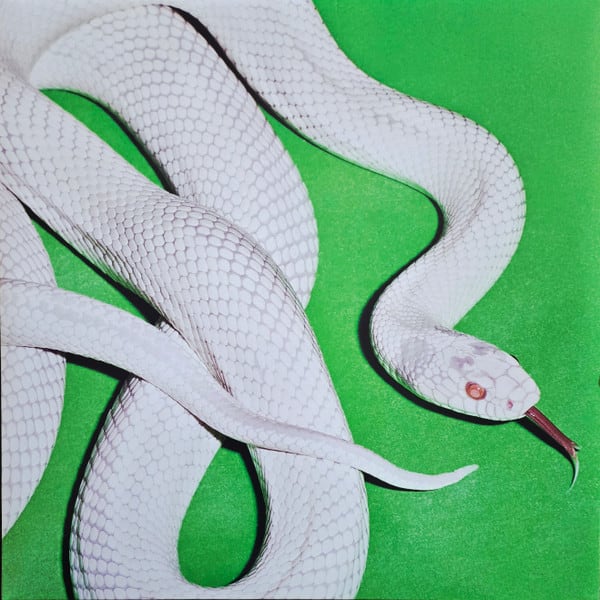 Deftones Private Music Vinilo1