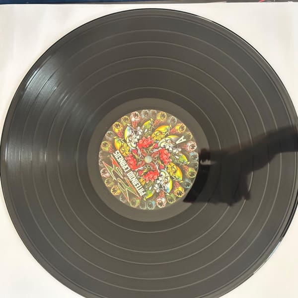 2x Pateando cráneos Vinilo3
