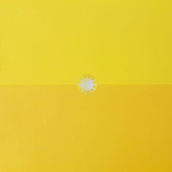 Gustavo Cerati Amor Amarillo Doble Vinilo1