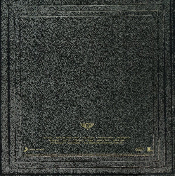 PEARL JAM VITALOGY (2LP/180G/GATEFOLD) Vinilo2