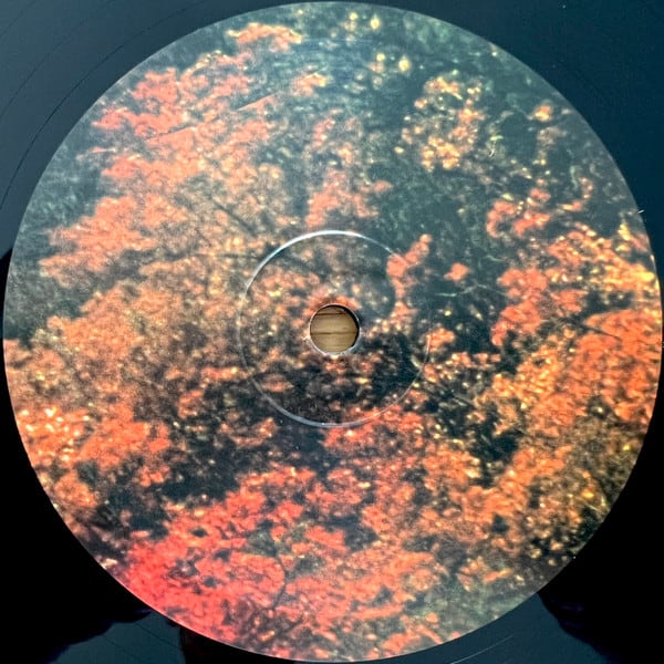 Tame Impala Innerspeaker Vinilo6