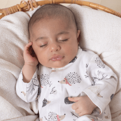 ¿Cómo elegir el regalo perfecto para un recién nacido?: guía suave, útil y llena de cariño