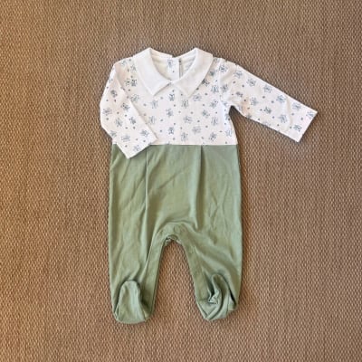 Enterito Martin Verde1