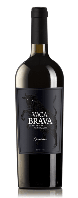 VACA BRAVA1