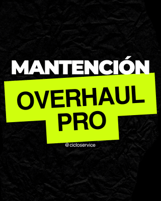 Servicio avanzado. Revisión total.